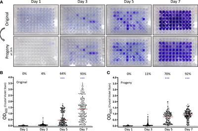Phase Variation of LPS and Capsule Is Responsible for Stochastic Biofilm Formation in Francisella tularensis